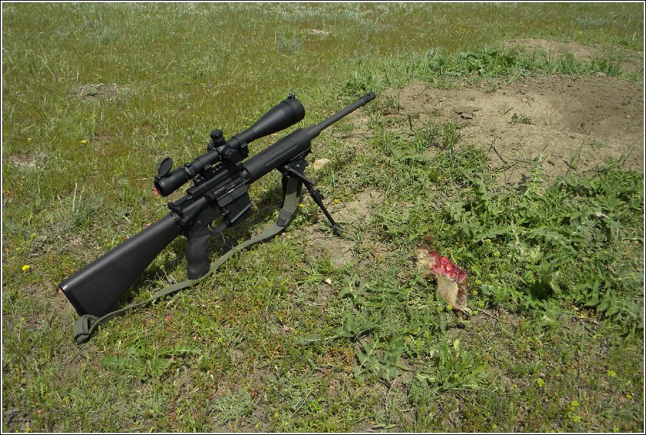 Prairie Dog Hunt